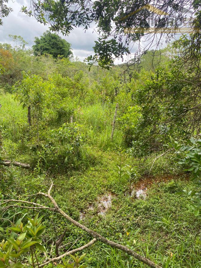 WhatsApp Image 2026-01-29 at 20.11.54.jpeg